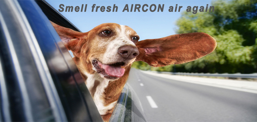 Car air-conditioning cabin filter change or clean Rockhampton